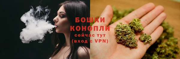 соль курить ск Богданович